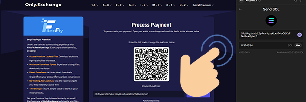 Process Payment