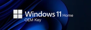 Windows 11 Home OEM Key