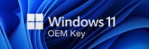 Windows 11 Pro OEM Key
